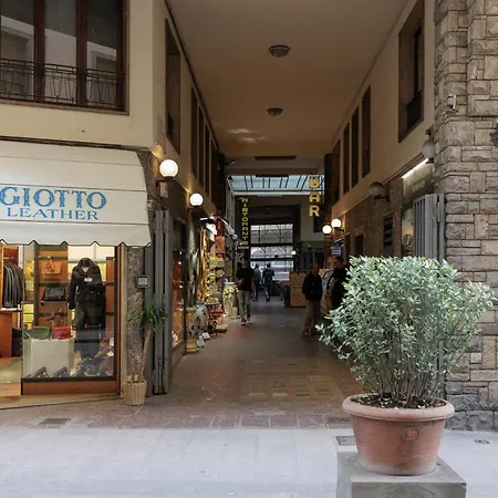 Giordano Luxury *